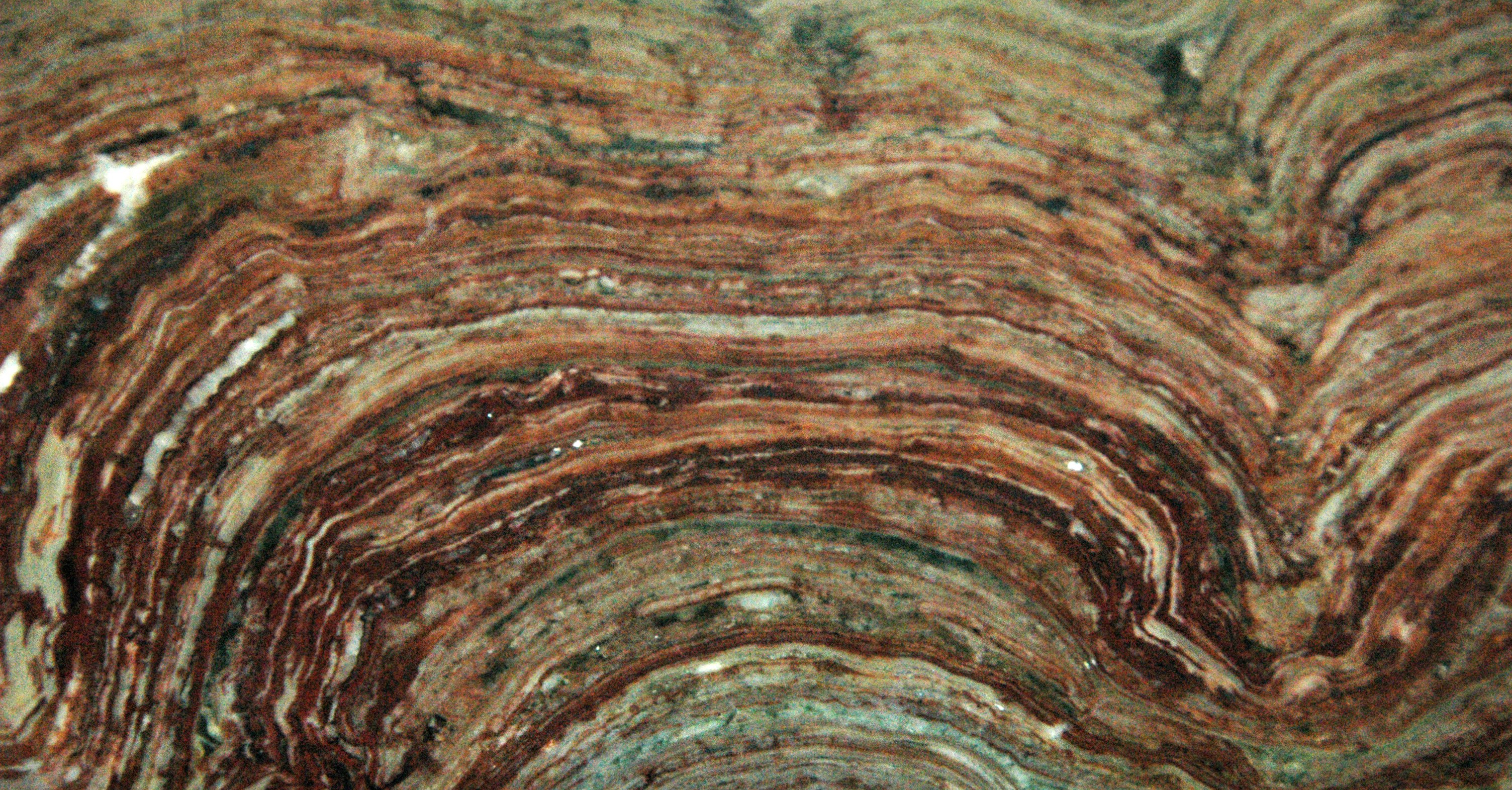 stromatolite-fossil-james-st-john-flickr-ccc2.jpg